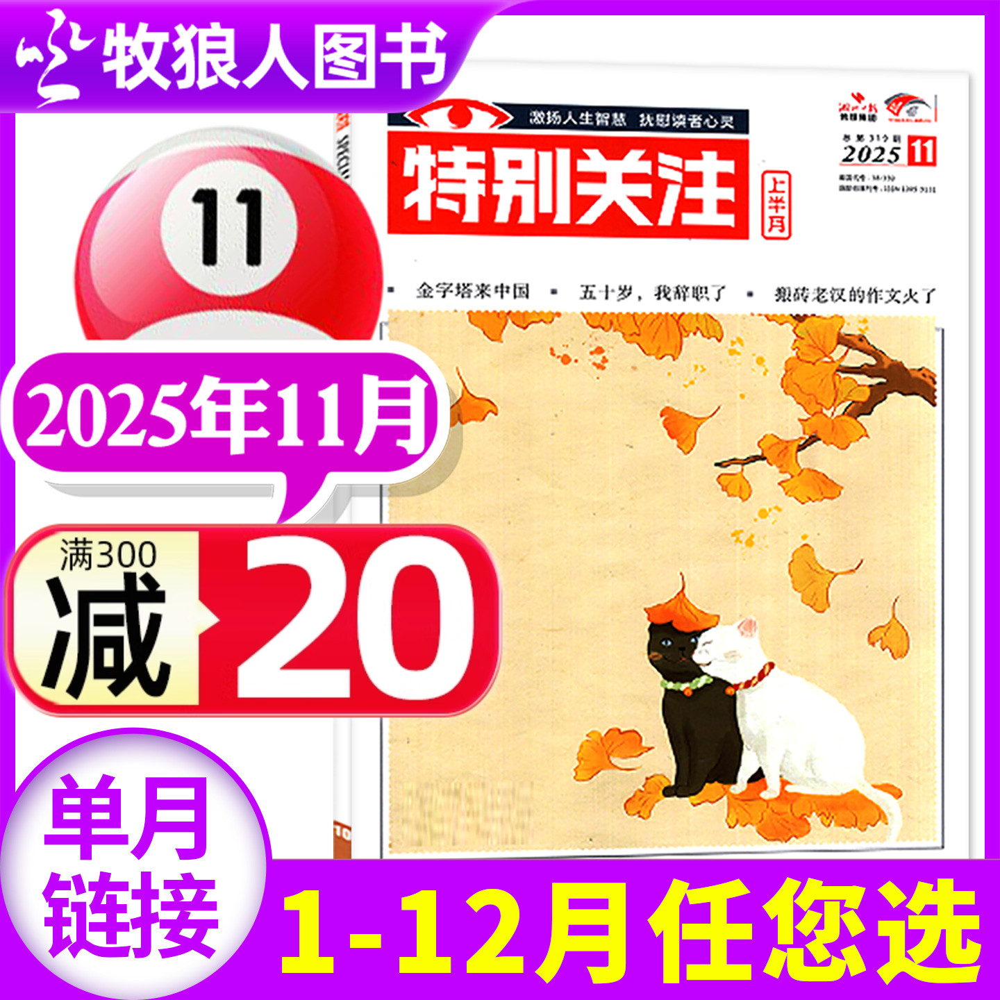 特别关注2025年11月/26年订阅