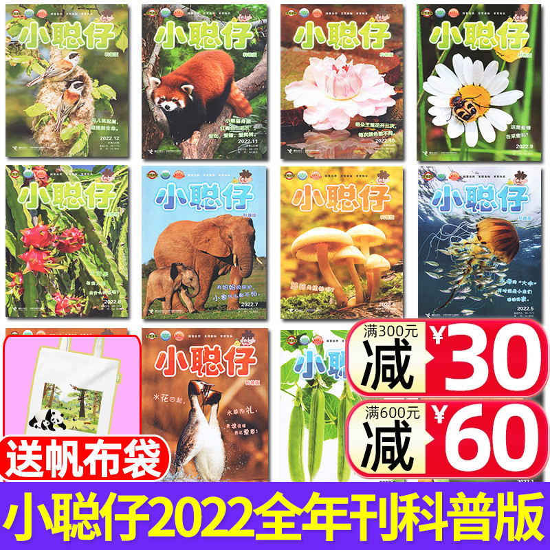 【多年份可选】小聪仔（科普版）杂志2022/2023/2024年1-8/9/10/11/12月全年订阅2~8岁兴趣儿童科普百科动物过刊