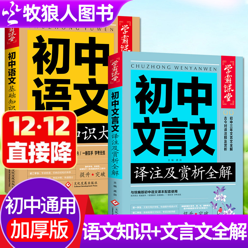 初中语文基础知识大全文言文全解