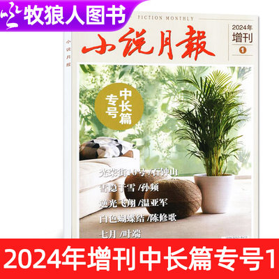 小说月报杂志增刊-2024年增刊