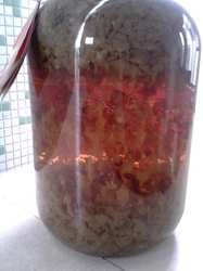 荼薇酒小榄特产荼薇花酒自家酿制荼薇花酒中国花酒500ml