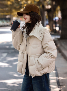 翻领短款羽绒服2025年冬季新款90鸭绒外套上衣女装SXYRF25029