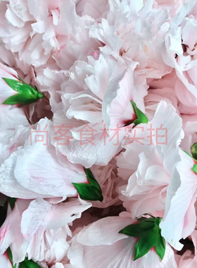 新鲜食用木槿花酒店高档菜现摘重瓣木槿花高颜值美人花搭配菜肴
