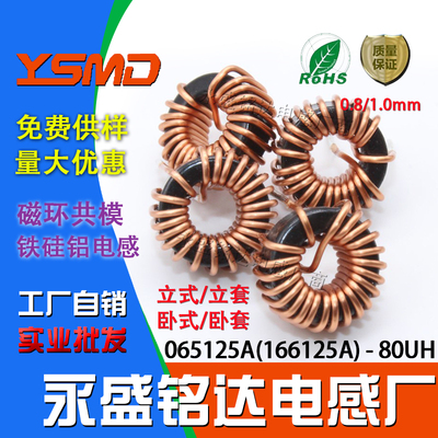 065125/CS166125铁硅铝磁环电感