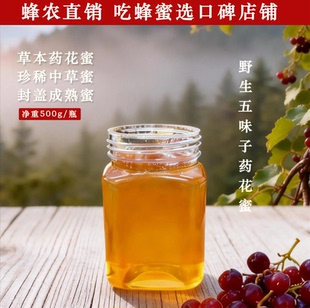 正宗陕西五味子蜂蜜500g纯正野生药花蜜自然成熟全封盖液态原蜜