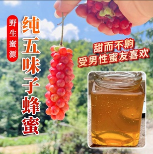 自然成熟全封盖蜂蜜五味子蜜正宗中草蜜43波美度高品质蜜有试吃