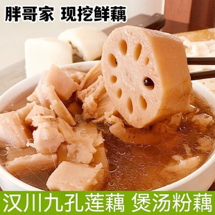 湖北鲜莲藕现挖泥巴藕 粉藕汉川九孔莲藕鲜湖藕产地直发带泥发货