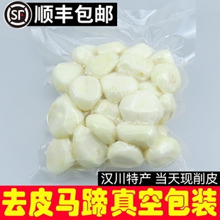 汉川特产马蹄去皮白马蹄新鲜荸荠削皮乌芋地梨火锅菜蔬菜