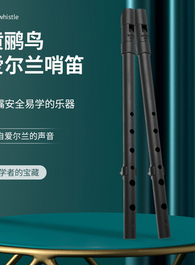 Susato Oriole Kildare 苏萨托 黄鹂鸟 基尔代尔 爱尔兰 哨笛初学