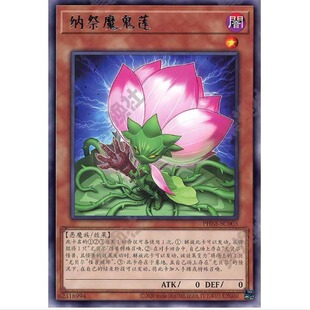 献祭魔莲 魅影噩梦 1203 游戏王 R