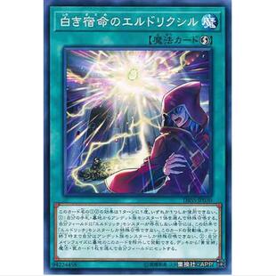 【超牌】游戏王 白宿命之黄金国永生石 SP12 DBSS 秘密使者 日文N