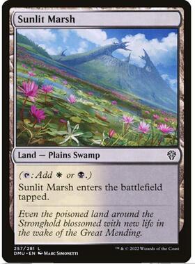 万智牌 MTG 多明:众志成城 DMU 闪 铁 地 阳辉沼地