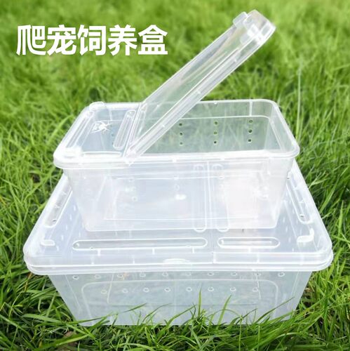 饲养盒宠物饲养箱养蚕盒