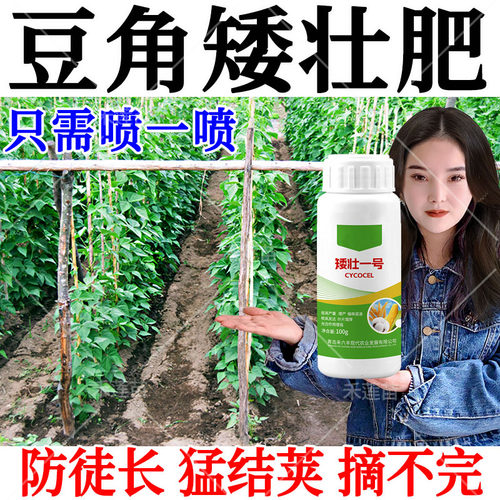 豆角缩节控旺防徒长疯长旺长龙豆四季豆拉直拉长促花促果矮壮剂
