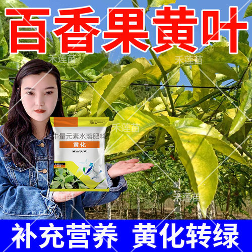 百香果专用肥百香果黄化黄叶卷叶一喷灵补充营养快速转绿叶面肥