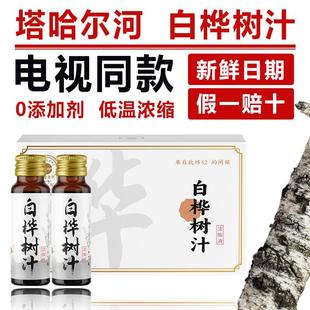 塔哈尔河大兴安岭多倍浓缩桦树汁饮品小瓶装电视同款正品