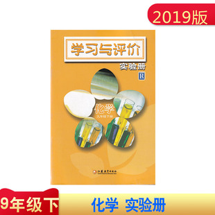学习与评价 实验册 R  化学 九年级下册  9年级下册 化学学习与评价 实验册