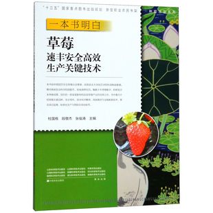 新型职业农民书架 一本书明白草莓速丰安全高效生产关键技术 种能出彩系列