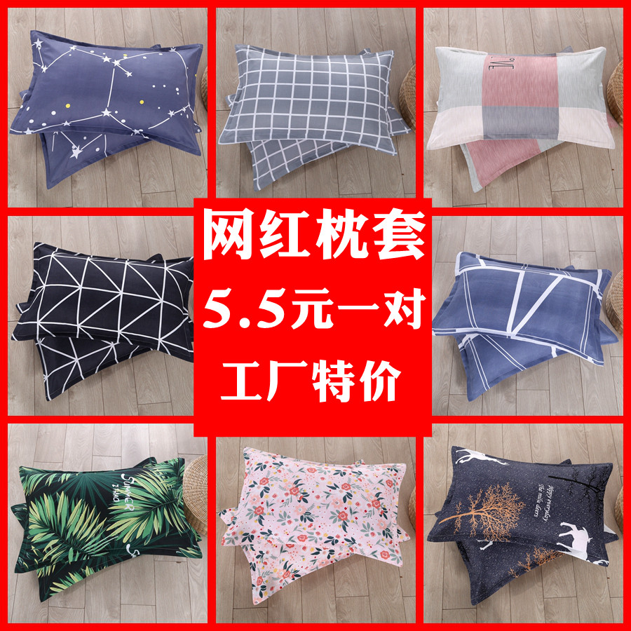 一对装枕套水洗棉单人双人卡通枕芯套枕头套48x74cm大号记忆颈椎