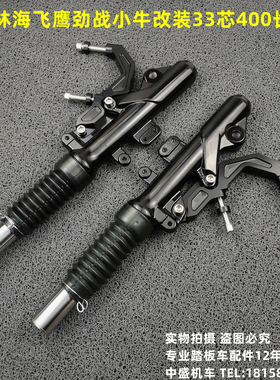 适用林海三四五代目劲战F1小牛九号改装33芯400左右双碟刹前减震