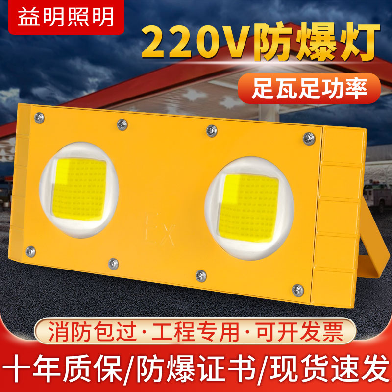 隧道灯led防爆灯仓库户外灯100W加油站船用低压24V12v36V投光灯