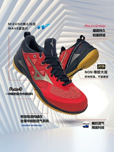 Mizuno Meto Profession