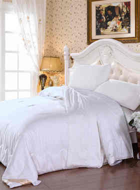 伊伊爱SC-C1W-050DN贡缎500g桑蚕丝被白色150*210cm（床）