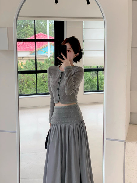 Gray two-piece outfit with a long-sleeve crop top and matching maxi skirt worn by a model