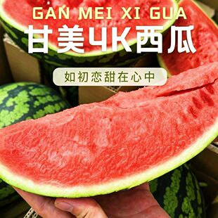 正宗特级江苏东台战神甘美4K西瓜当季新鲜现摘时令水果顺丰包邮