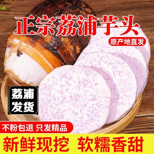 正宗广西荔浦大芋头新鲜香芋农家现挖槟榔芋头紫藤芋粉糯香甜整箱