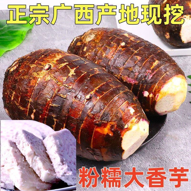 广西荔浦粉糯芋头新鲜现挖当季香芋广西槟榔紫心红心芋头商用批发