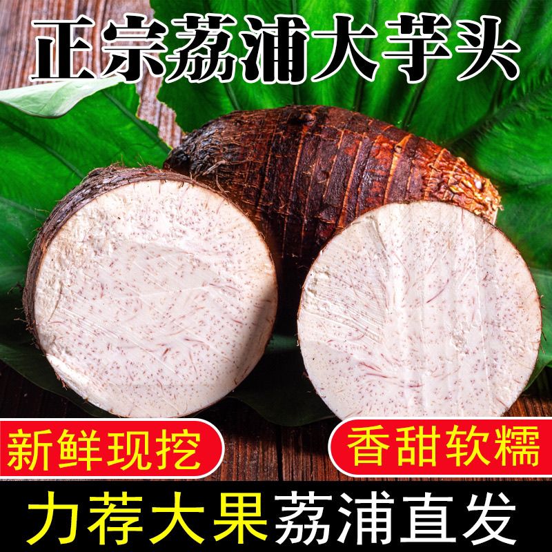 正宗广西香芋荔浦紫心新鲜槟榔芋头现挖芋泥糯粉批发蔬菜农家特产