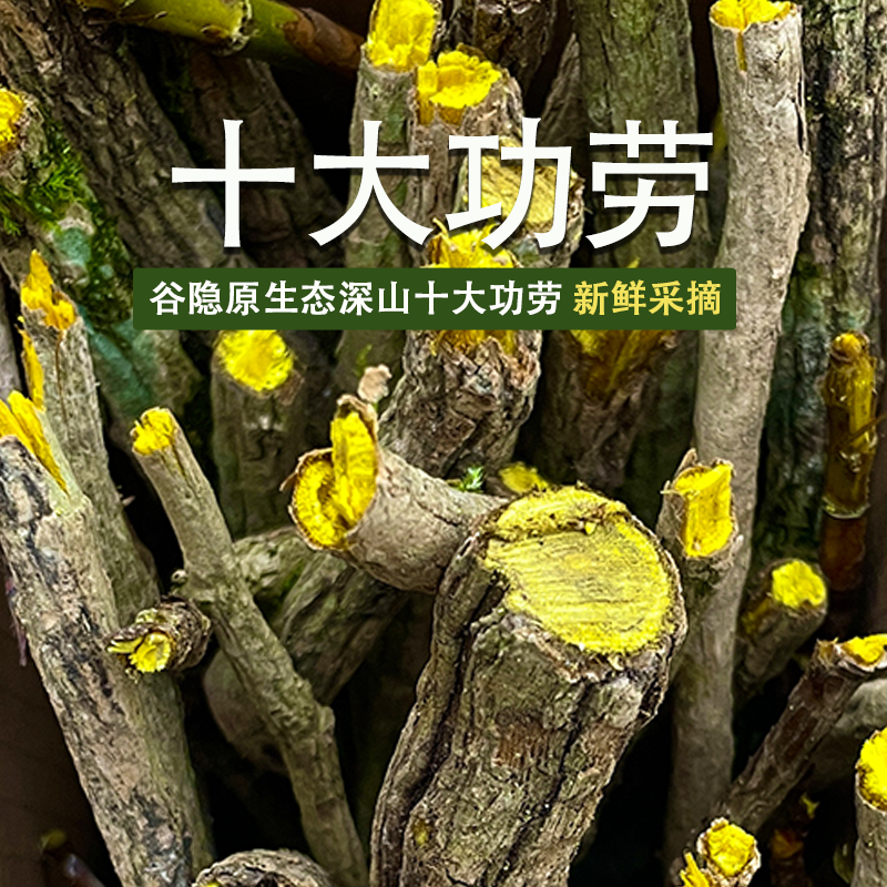 福建谷隐生态深山十大功劳中药材 木黄莲 刺黄莲 功劳木野生500克