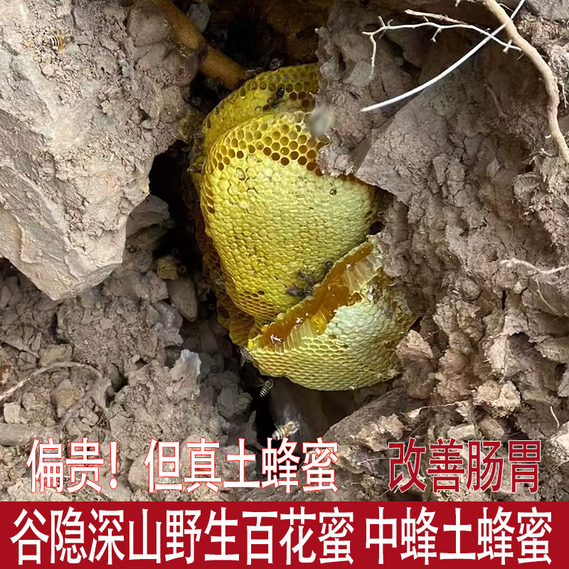 福建谷隐深山野外野生中蜂土蜂蜜成熟百花蜜草药蜜无添加500g包邮