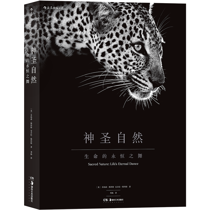 后浪正版 神圣自然 生命的永恒之舞 精装8开 非洲动物摄影艺术图册集 特种纸张雅昌承印自然爱好者画展摄影大书籍