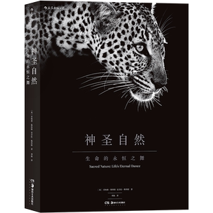 后浪正版 神圣自然 生命的永恒之舞 精装8开 非洲动物摄影艺术图册集 特种纸张雅昌承印自然爱好者画展摄影大书籍