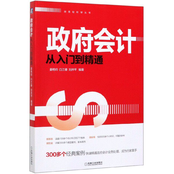 政府会计从入门到精通/财务轻松学丛书官方正版 博库网