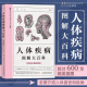 科学技术文献出版 后浪正版 社 家庭医学宝典 器官与疾病预防医学养生科普书籍 人体疾病图解大百科 人类生活