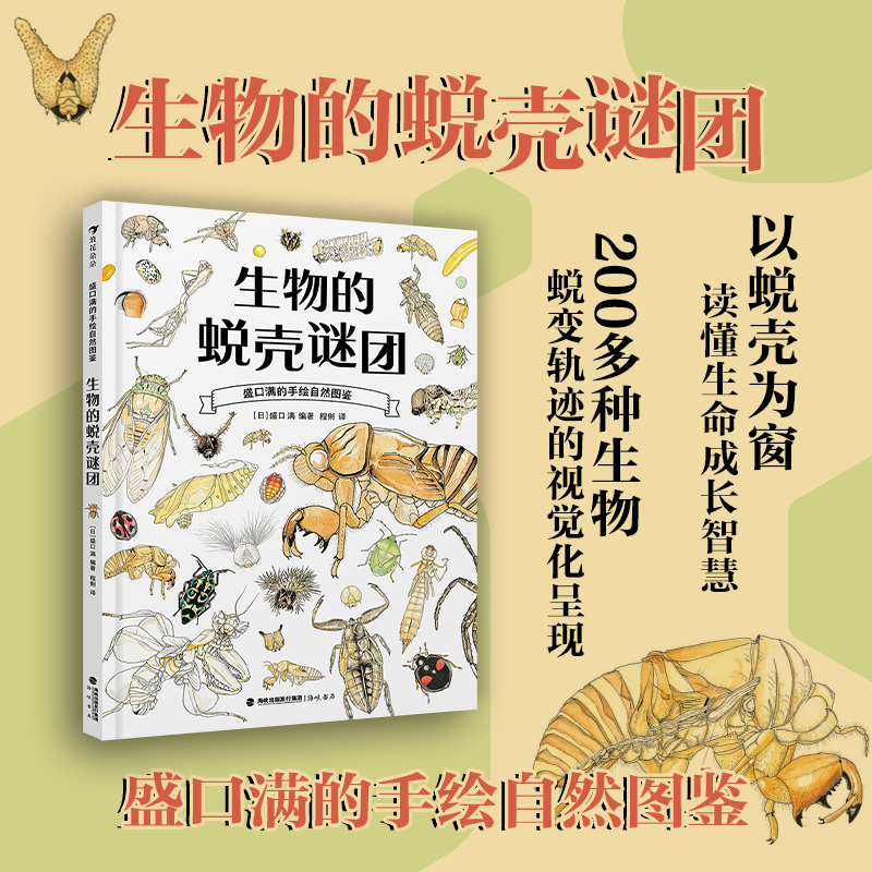盛口满的手绘自然图鉴12册任选 生物的蜕壳谜团 瓢虫的星星点点 石头的生命故事200多种生物蜕变轨迹 昆虫科普百科绘本 后浪童书