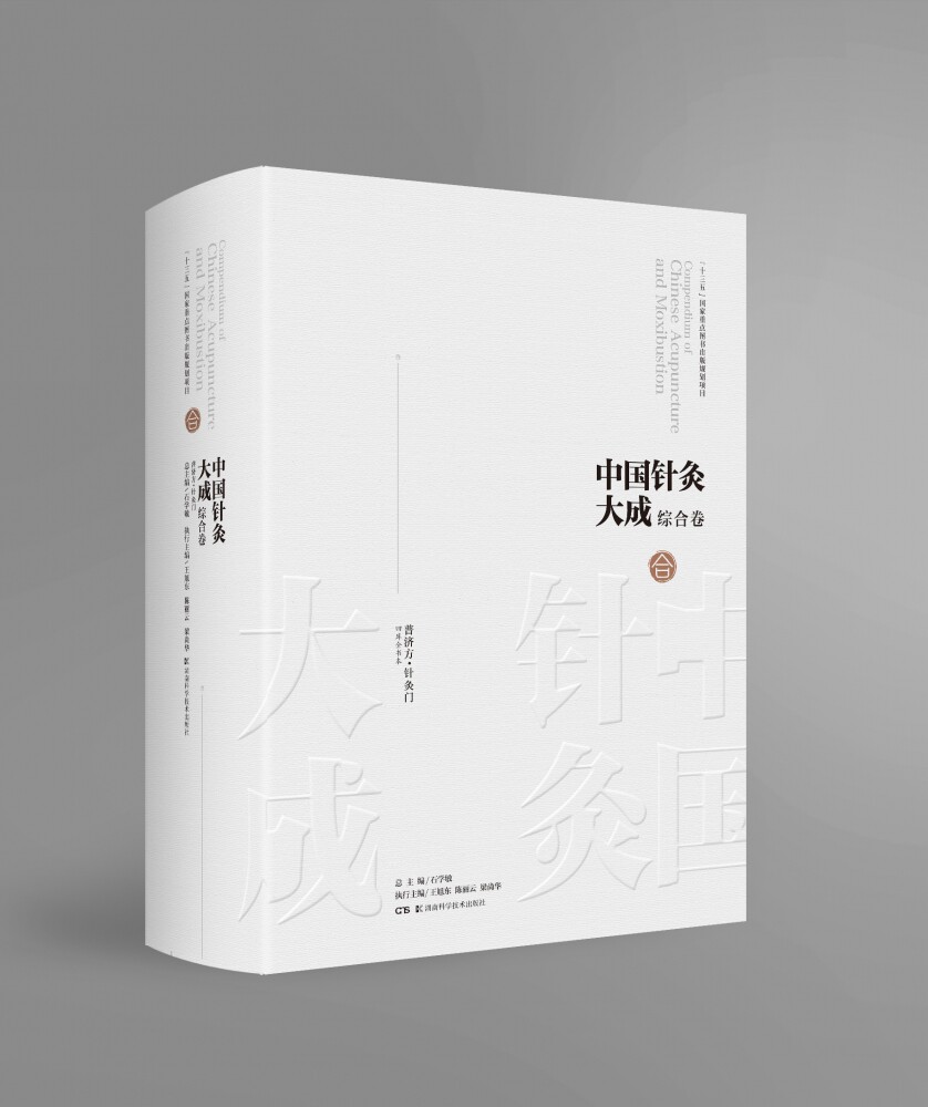 中国针灸大成·综合卷（普济方·针灸门） 官方正版 博库网