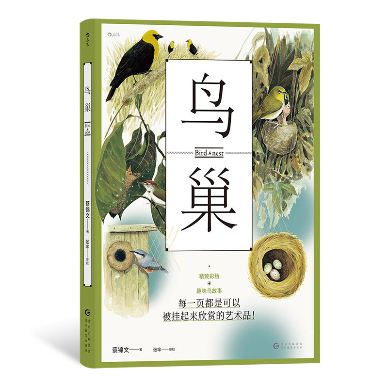 后浪正版现货 鸟巢 精致彩绘插图 鸟类筑巢习性记录了适应环境的生活点滴 鸟类生物学科普自然图鉴普及读物书