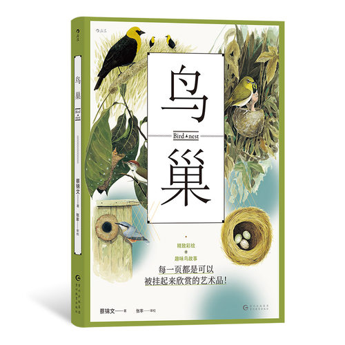 后浪正版现货 鸟巢 精致彩绘插图 鸟类筑巢习性记录了适应环境的生活点滴 鸟类生物学科普自然图鉴普及读物书