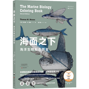 后浪正版 海面之下 海洋生物形态图鉴  经典之作 海洋生物学与科学绘画大师联手打造 海洋 生物 科普书籍