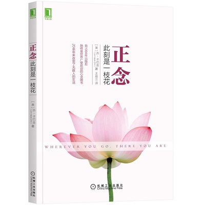 正念此刻是一枝花乔卡巴金