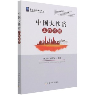 中国大扶贫工作经验官方正版 博库网