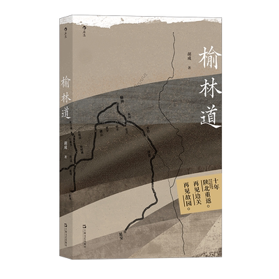 榆林道胡成陕西北情怀纪实文学