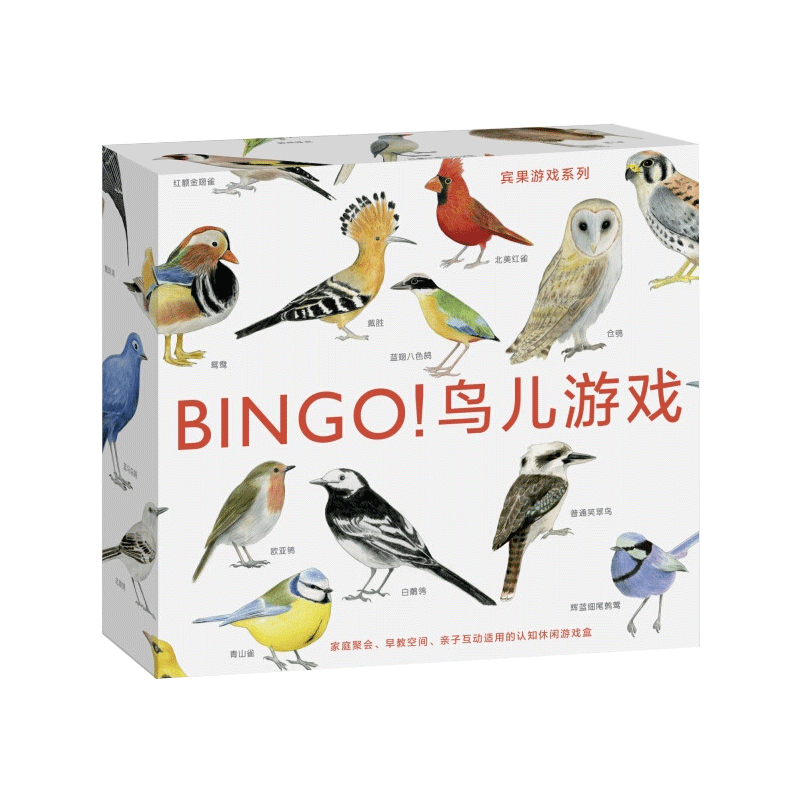 后浪官方正版 宾果系列 BINGO鸟儿游戏 3到6岁儿童读物教辅益智启蒙 互动智力开发 探索与发现书籍