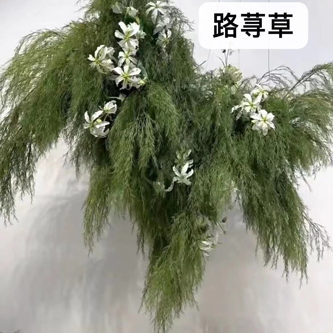 艾林塑料婚庆家居天津绿植图片