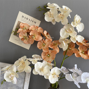 仿真蝴蝶兰 8头秋色雪花布婚庆唯美婚礼堂装饰绢花兰花蕙兰外贸