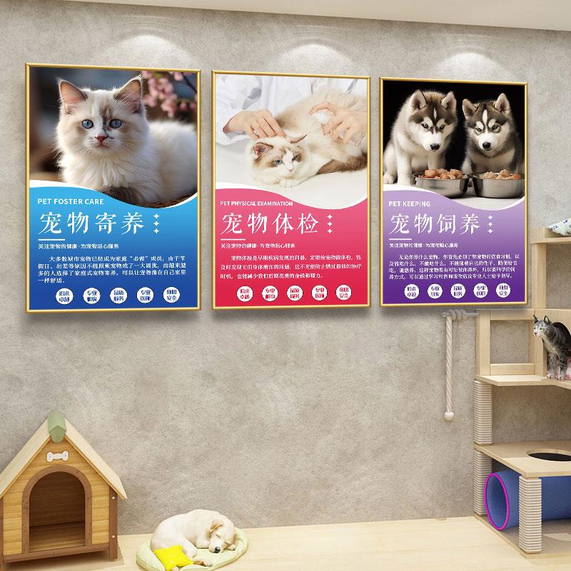 宠物店装饰画墙画墙壁画美容常识护理流程洗澡文化墙海报背景墙